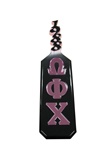 Omega Phi Chi Year Handle Paddle