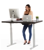 Full Sized Electric Standing Desk