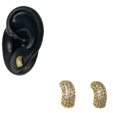 GOLD PLATED EARRING