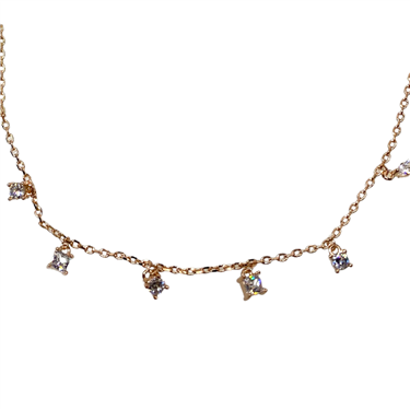 ROSE GOLD CHARM NECKLACE