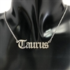 SILVER ZODIAC SIGN NECKLACE
