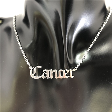 SILVER ZODIAC SIGN NECKLACE