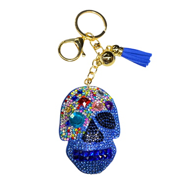 BLUE SKELETON KEY CHAIN