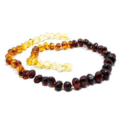 The Amber Monkey Polished Baroque Baltic Amber 10-11 inch Necklace - Rainbow POP