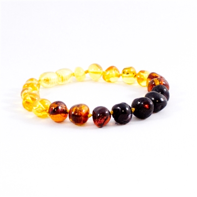 The Amber Monkey Polished Baltic Amber Rainbow Baroque Bracelet- 7-8 inch Screw Clasp