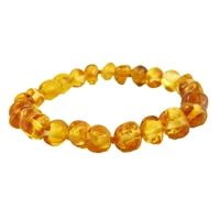 The Amber Monkey Baltic Amber 7 inch Bracelet- Honey Stretch