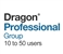 Dragon Professional Group 15 Volume License 10 - 50 Users