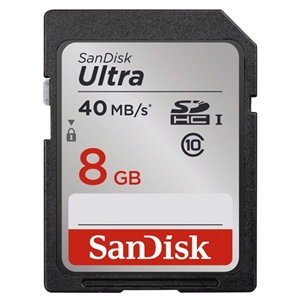 SanDisk 8GB SD Card