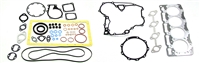 TB-25-15015-00-AM GASKET SET 491