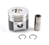 TB-25-39440-00SV OEM PISTON ASSEMBLY STD VECTOR™