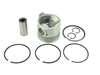 TB-37-11-5904 PISTON ASSY W RINGS 1.00MM 2.2DI