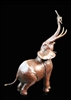 Medium Bull Elephant