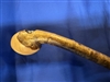 Medium Weight Hazel Knobstick With  Silver Thistle