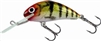 Salmo Hornet #4