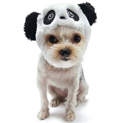 Panda Bear Hat Dog Costume