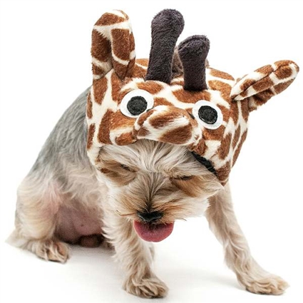 Giraffe Dog Halloween Costume