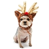 Rudolph Reindeer Hat Dog Costume
