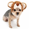 Teddy Bear Hat Dog Costume