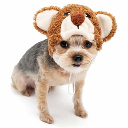 Teddy Bear Hat Dog Costume