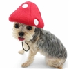 Mushroom Hat Dog Costume