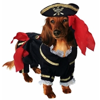 Deluxe Buccaneer Halloween Dog Costume