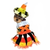 Halloween Dog Costume | Candy Corn Witch