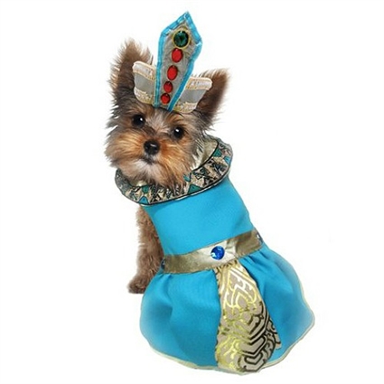 Halloween Dog Costume | Cleopatra