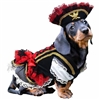 Swashbuckler Pirate Girl Halloween Dog Costume