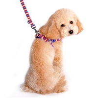 Microsuede Red, White and Blue Small Dog Harness