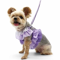 Small Dog Harness | Purple Ruffles