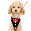 Bowtie Tuxedo Small Dog Harness