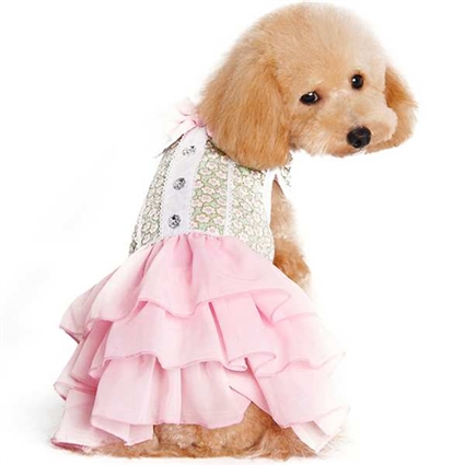 Gatsby Girl Small Dog Dress