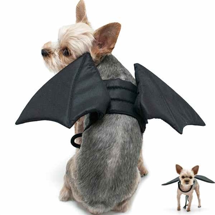Bat Wings Halloween Dog Costume