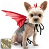 Dragon Wings Halloween Dog Costume