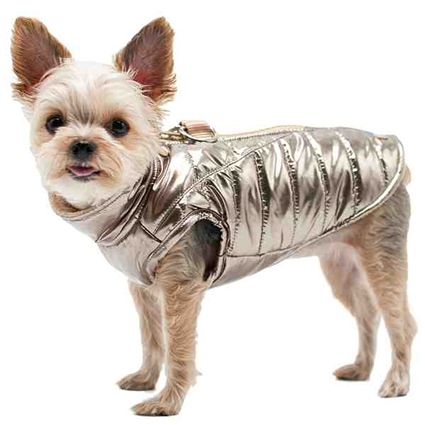 Metallic Gold Dog Coat
