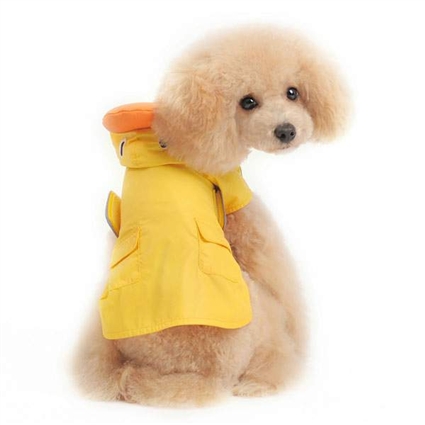 Rubber ducky deals dog raincoat