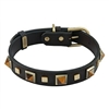 Studded Leather Dog Collar with Tiger Eye