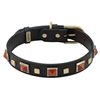 Studded Leather Dog Collar with Red Jasper Gemstones