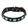 Studded Leather Dog Collar with Turquoise