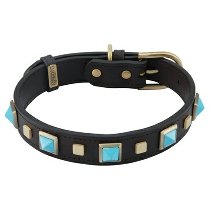 Studded Leather Dog Collar with Turquoise