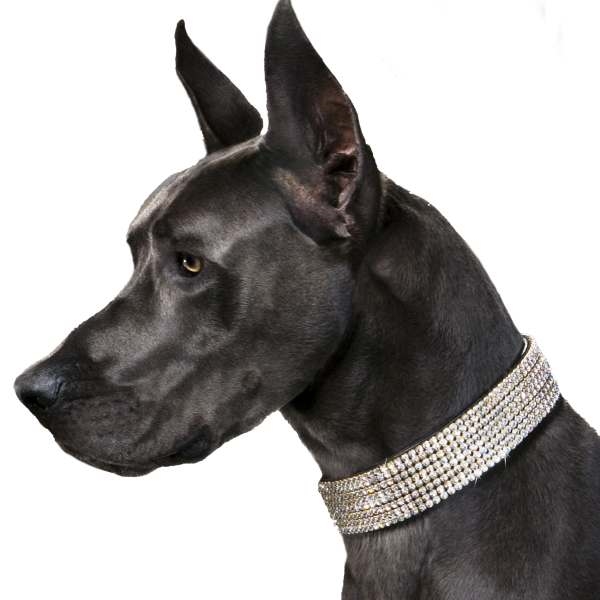 Large Crystals Luxury Dog Collars - 2 Inches Wide