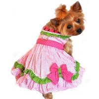 Pink Watermelon Small Dog Harness Dress