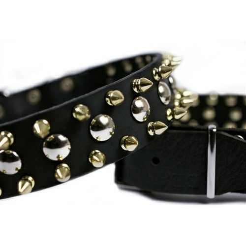 Gold spike dog outlet collar