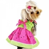 Watermelon Dog Dress for Small Dogs