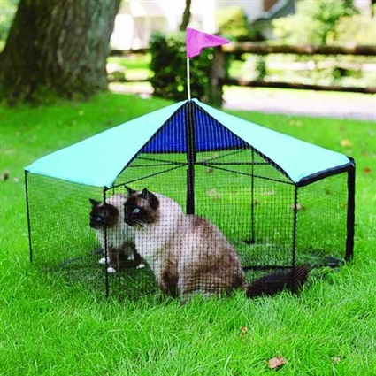 Outdoor Cat Enclosure | Kittywalk Carousel