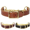 Leather Martingale Dog Collars | Lake Country