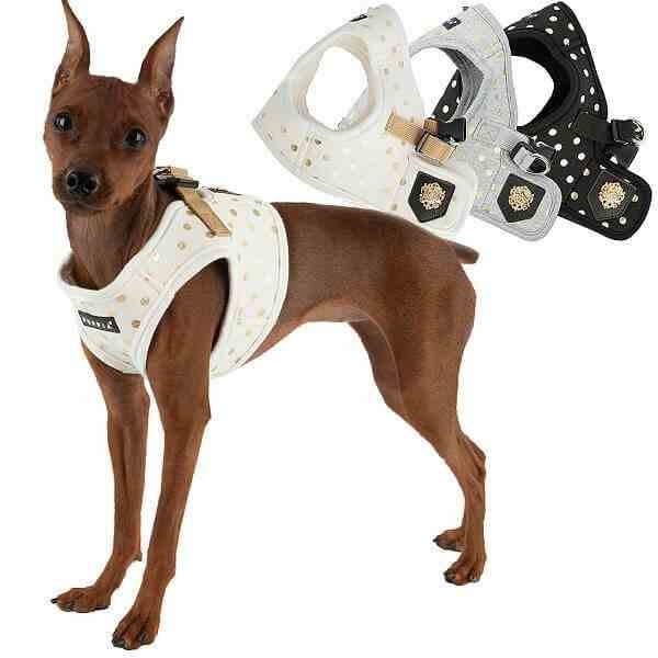 Small Dog Harness | Modern Dotty | Puppia
