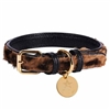 Wild One Padded Leather Dog Collar