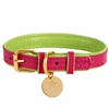 Padded Leather Dog Collar | Candy Swirl