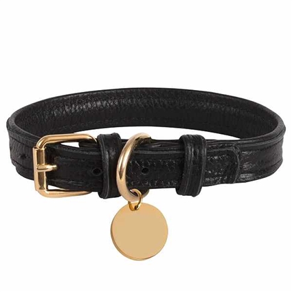 Padded Black Leather Dog Collar | Dark Night